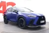 Lexus NX 450h+ AWD F SPORT S Thumbnail 7